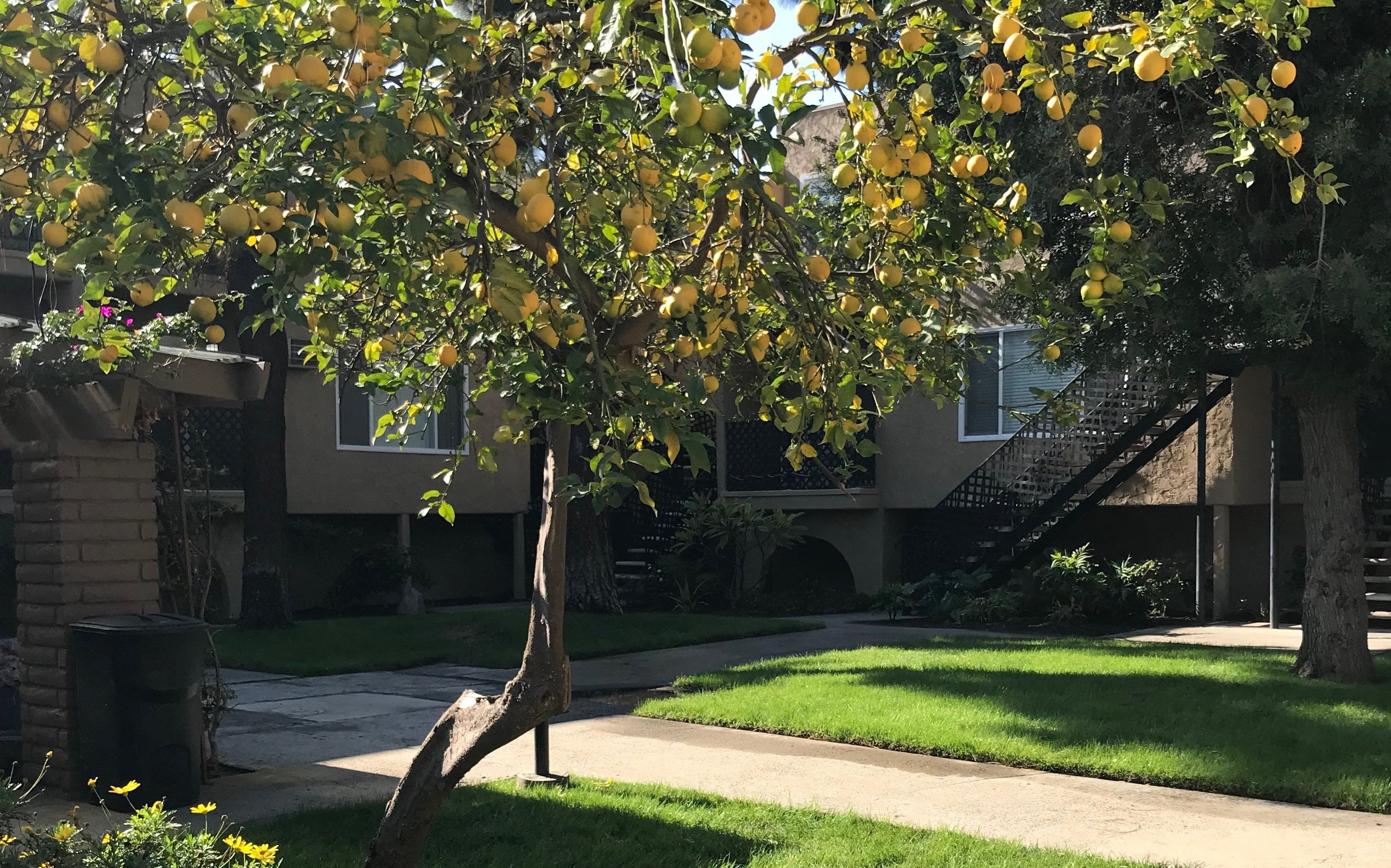 Photos and Video of Villa Grande Apartments in Buena Park, CA